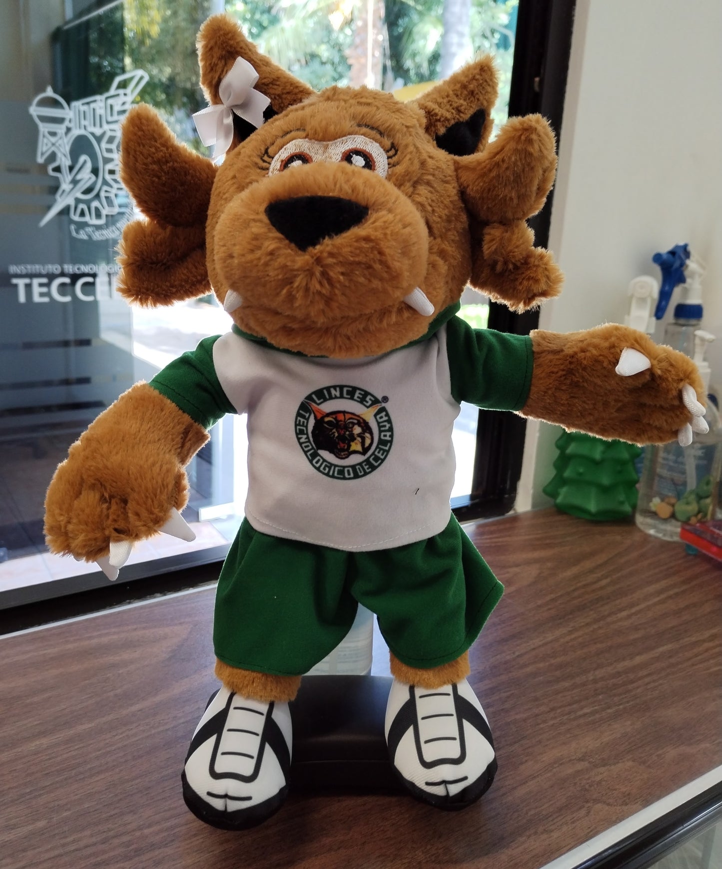 OUTFITS LINCES PELUCHE