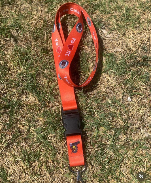 LANYARD VARIOS COLORES